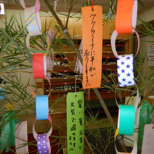 ブログ記事のイメージ画像