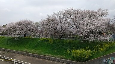 記事のイメージ画像