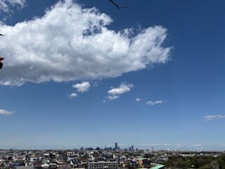 記事のイメージ画像