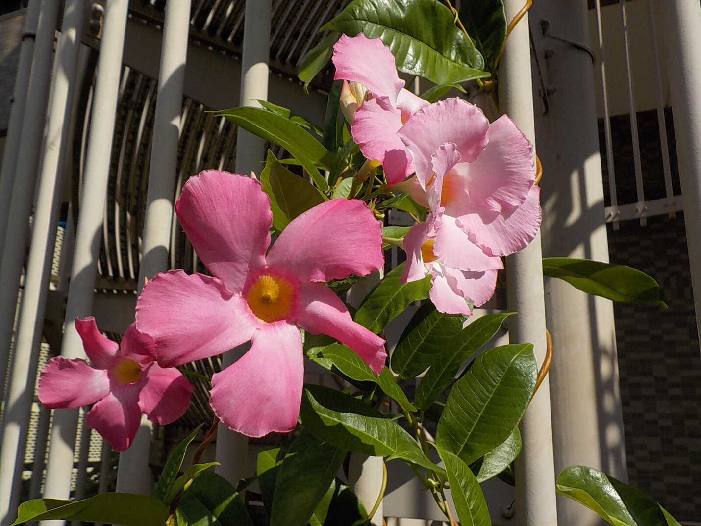 記事のイメージ画像