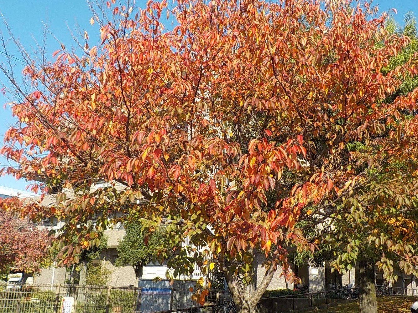 記事のイメージ画像