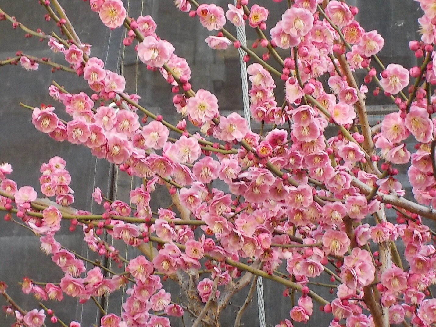 記事のイメージ画像