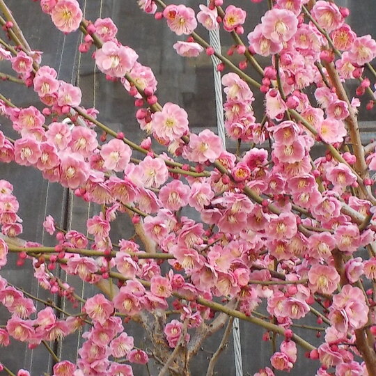 ブログ記事のイメージ画像