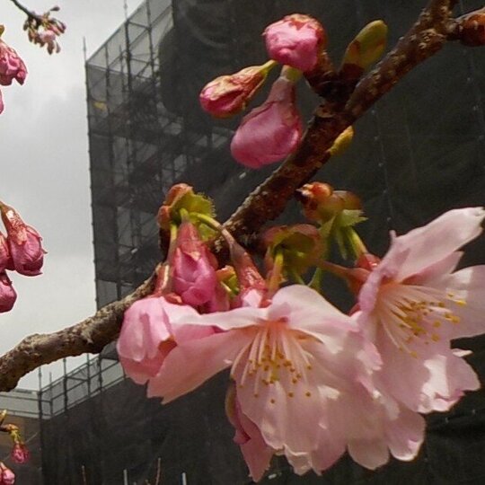 ブログ記事のイメージ画像