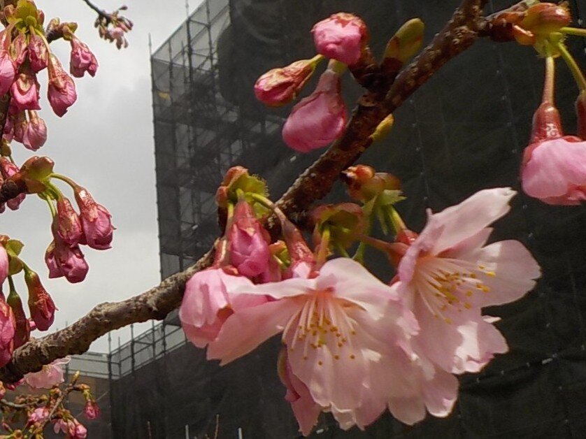 記事のイメージ画像