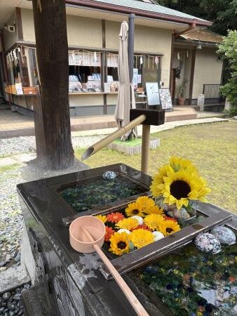 記事のイメージ画像